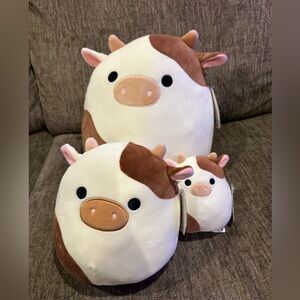 OG Ronnie squishmallow